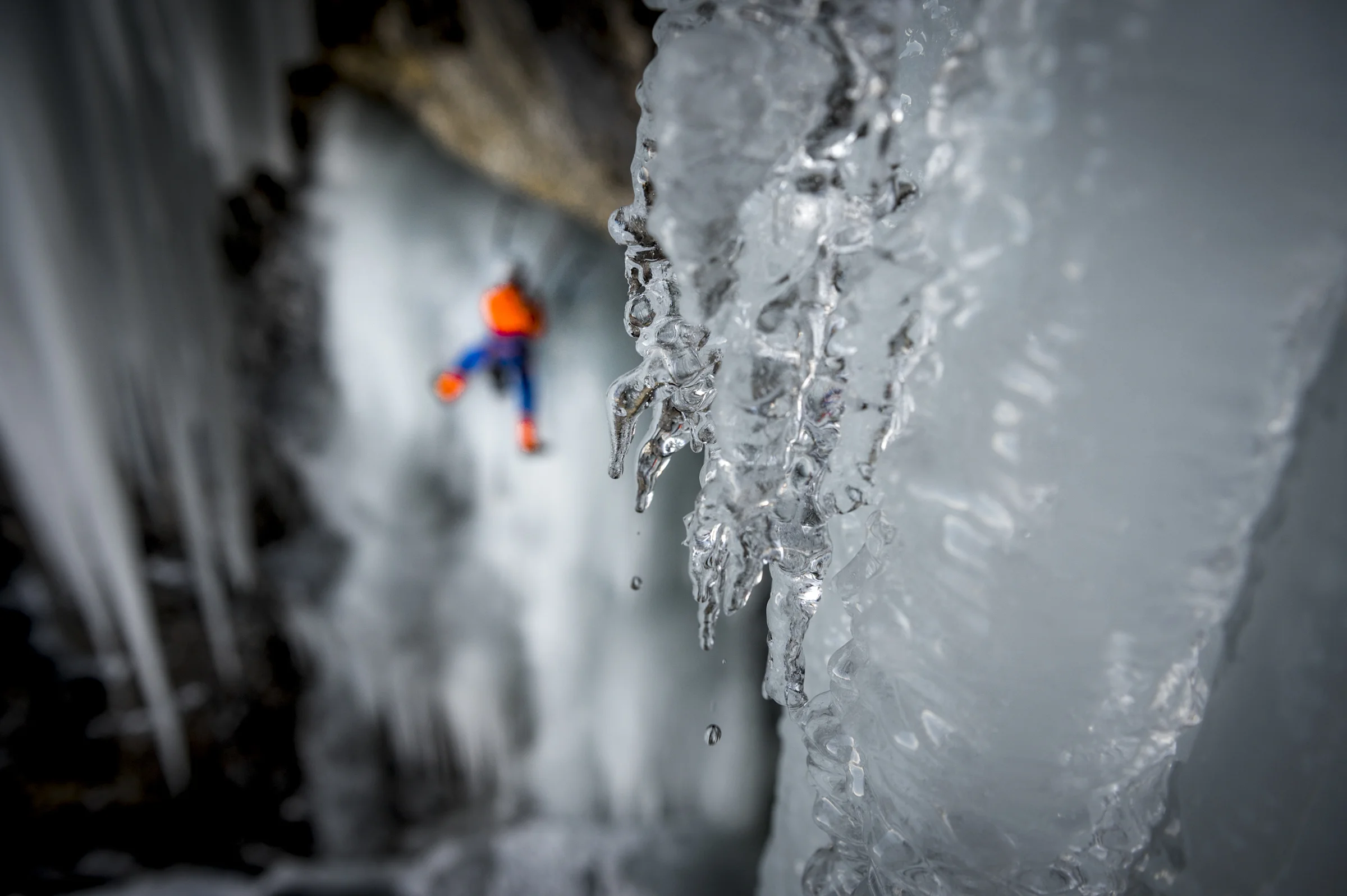 -TS_ICE_RITTER-DER-KOKUSNUSS_D234651.jpg