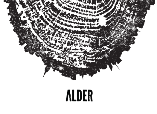 Alder