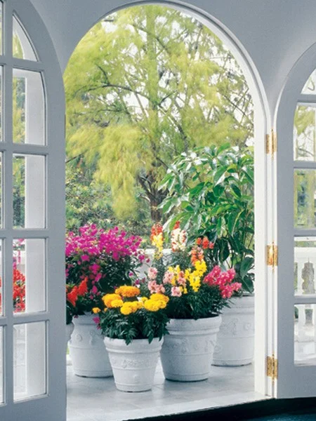 Festonada Planters, Crescent Garden