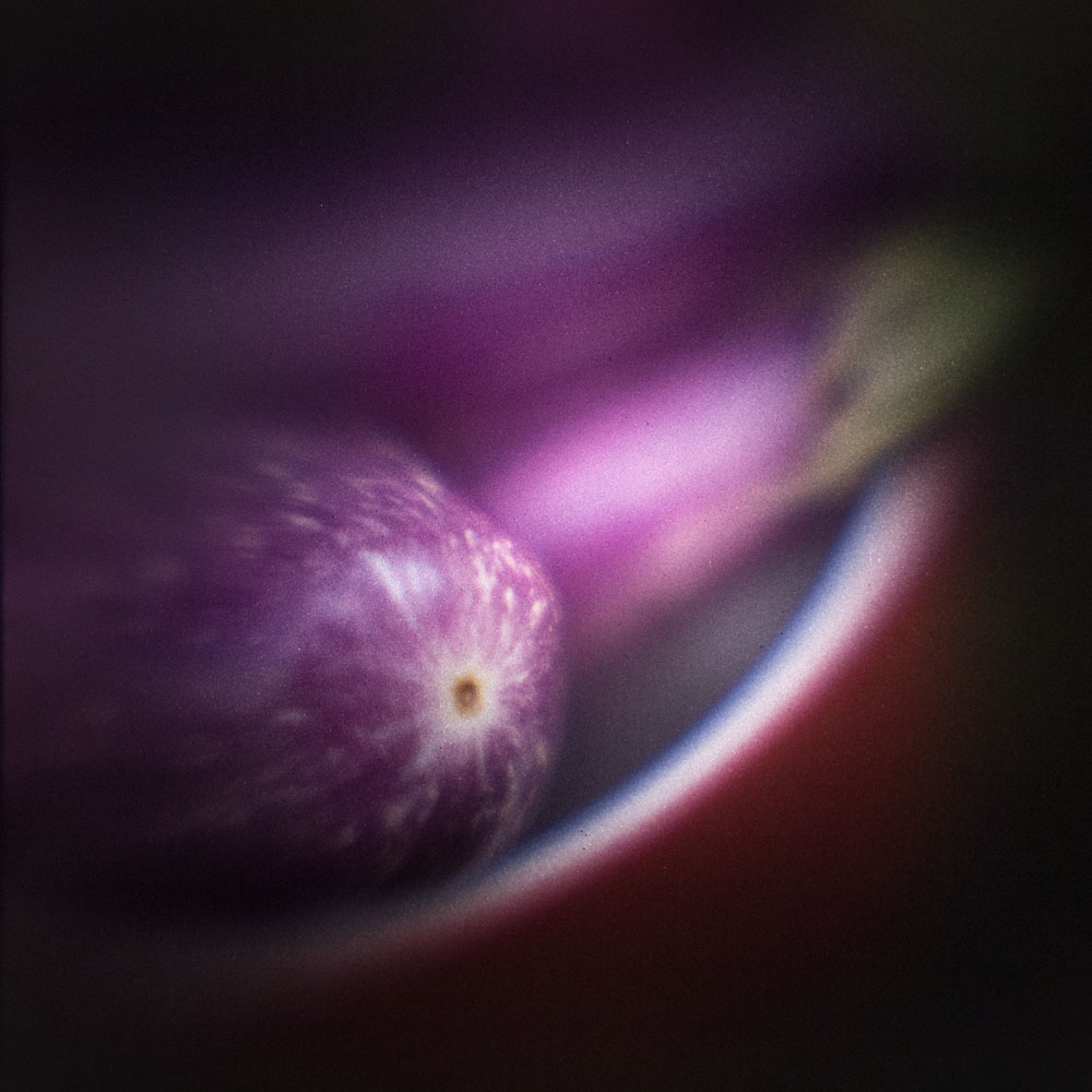 Backyard Finds, Eggplant