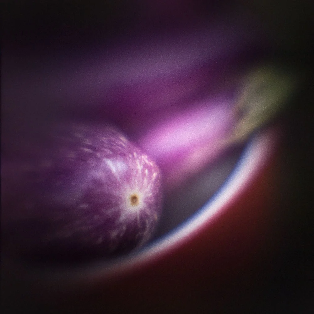 Backyard Finds, Eggplant