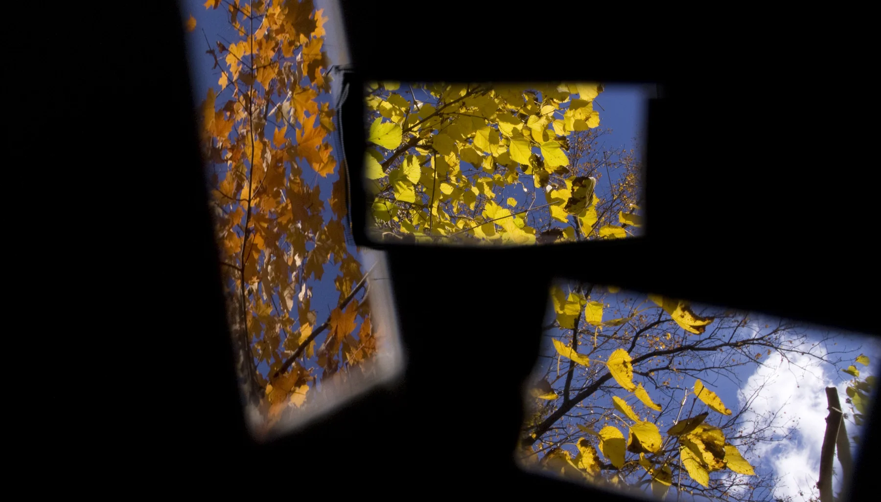 Teaneck Creek, Falling Leaves
