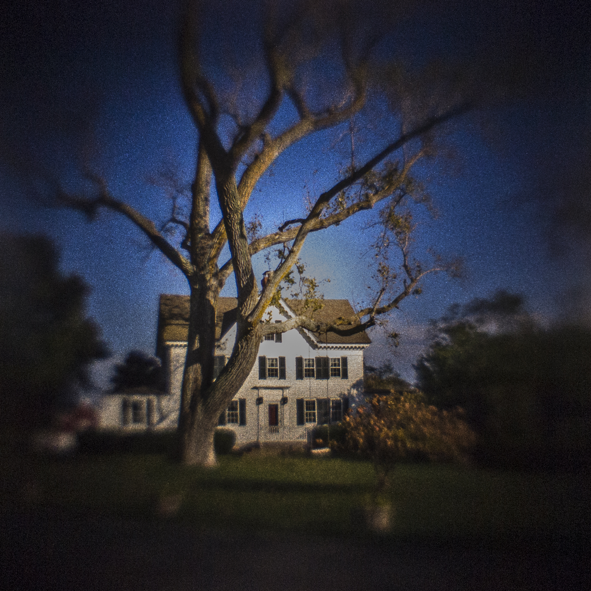 Eastham, Tree Swing