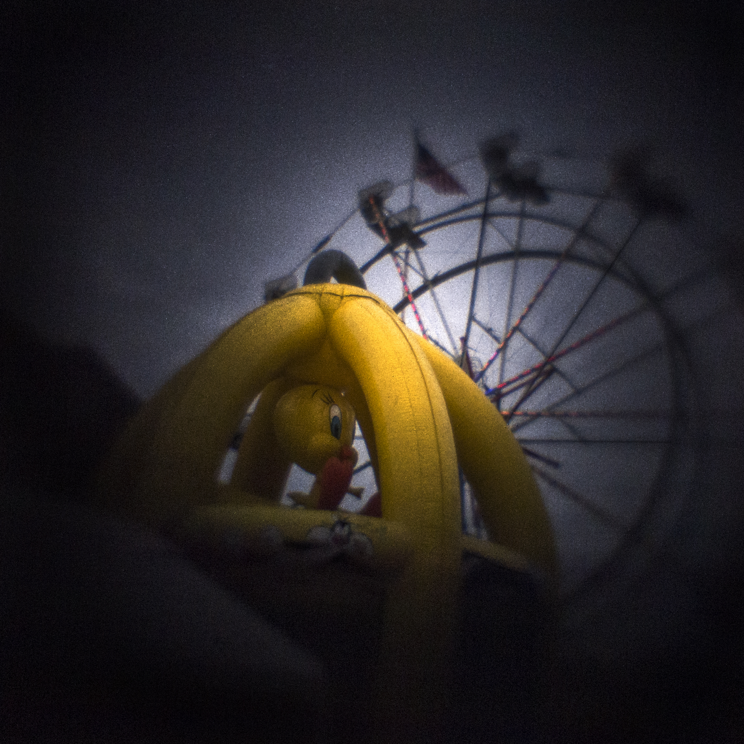 Vivona Carnival, Tweety Bird