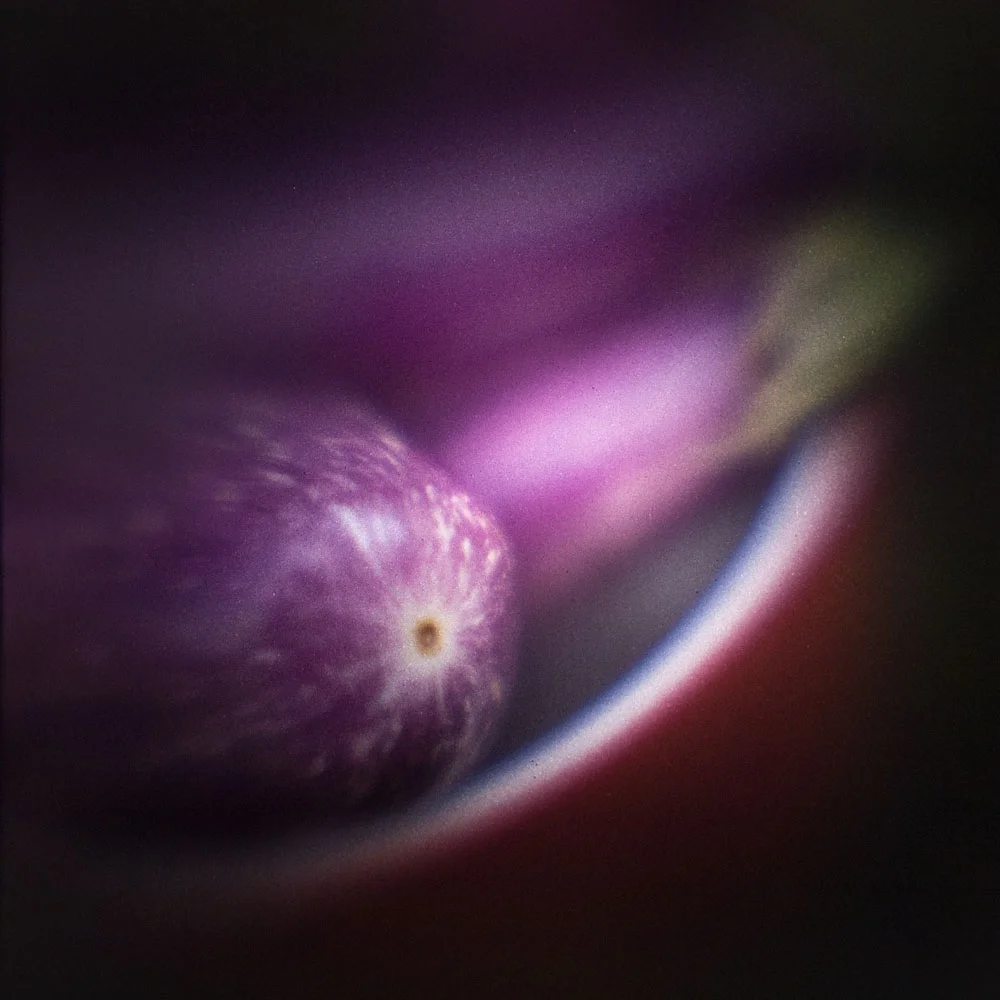 Egggplant