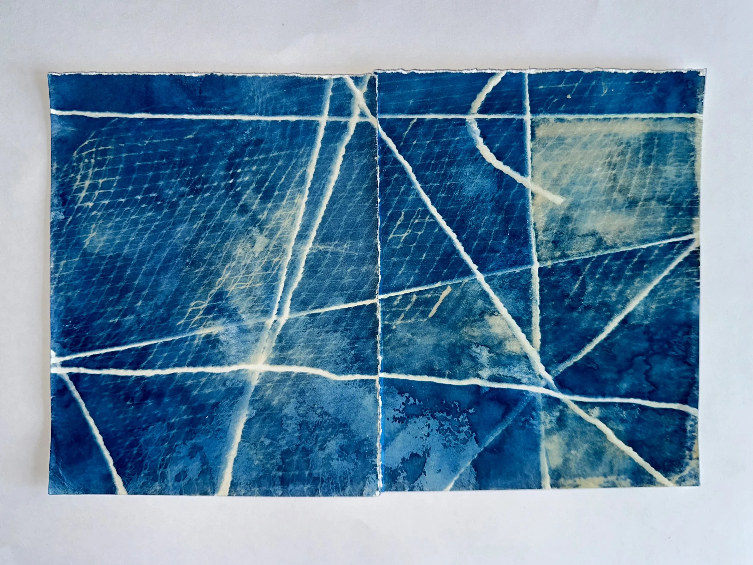Packaging, String + Aldi Lime Bag.jpg