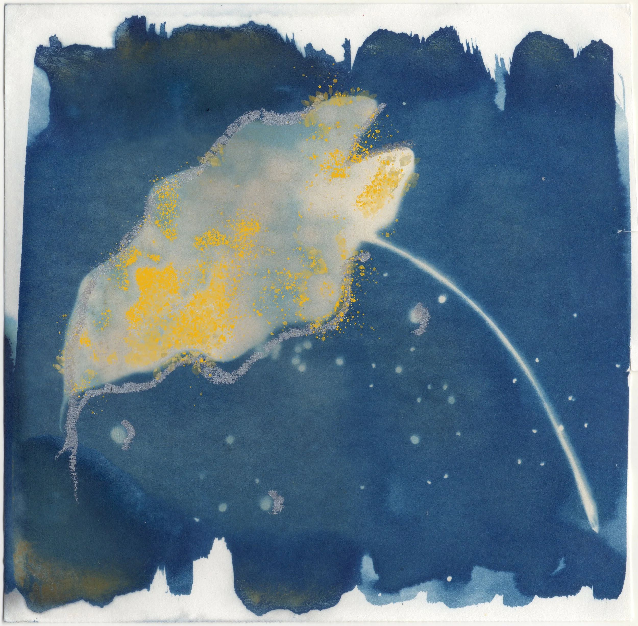 Alocasia 3 Crayon copy.jpg