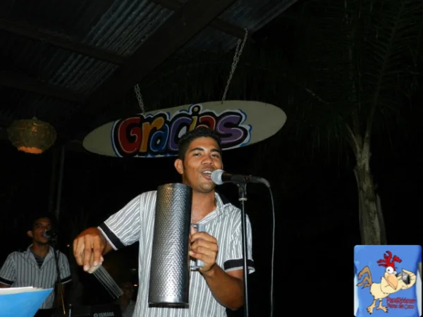 paparooster09.jpg