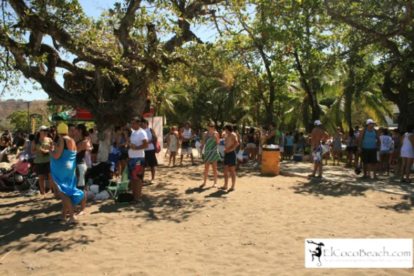 elcoocbeach007.jpg