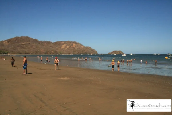 elcoocbeach001.jpg