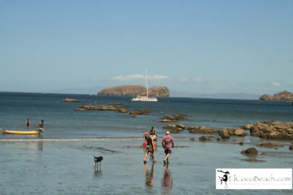 elcoocbeach052.jpg