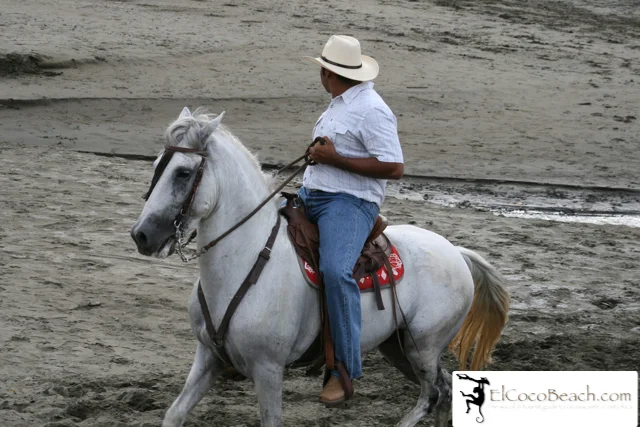 elcocobeach.pdctope2012.100..jpg