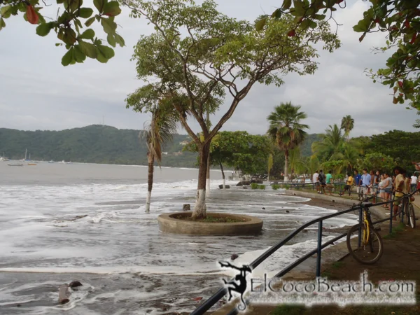 swell.07.elcocobeach.jpg