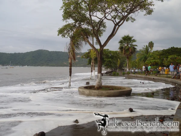 swell.09.elcocobeach.jpg