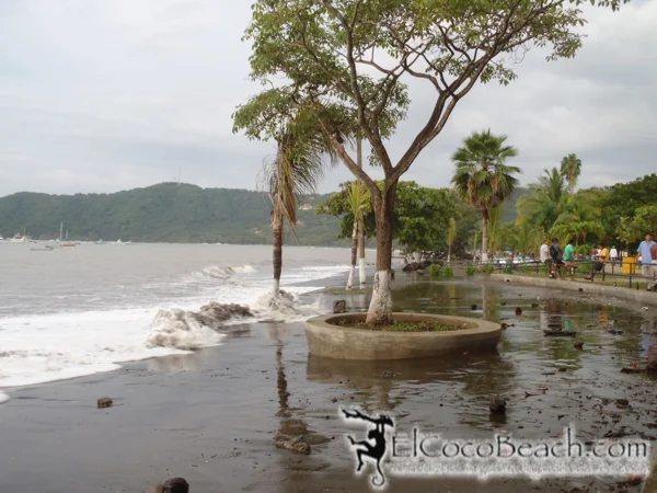 swell.08.elcocobeach.jpg