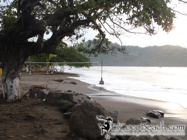 swell.02.elcocobeach.jpg