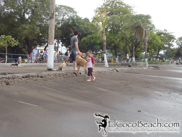 swell.14.elcocobeach.jpg