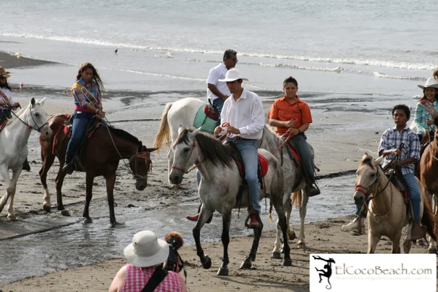 elcocobeach.pdctope2012.021..jpg