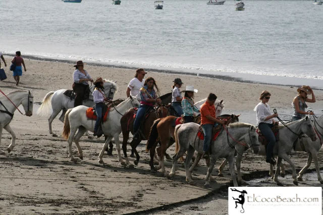 elcocobeach.pdctope2012.017..jpg