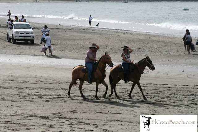 elcocobeach.pdctope2012.018..jpg