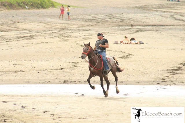 elcocobeach.pdctope2012.005..jpg