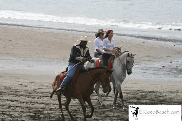 elcocobeach.pdctope2012.041..jpg