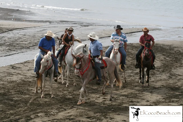 elcocobeach.pdctope2012.047..jpg