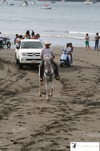 elcocobeach.pdctope2012.038..jpg
