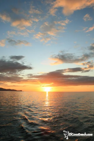 marlinsunset29.jpg