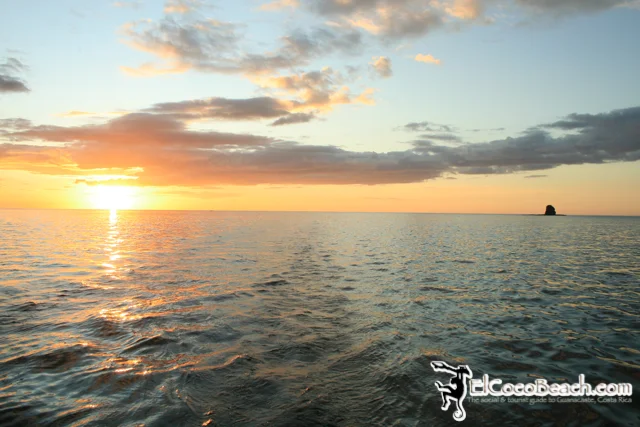 marlinsunset21.jpg