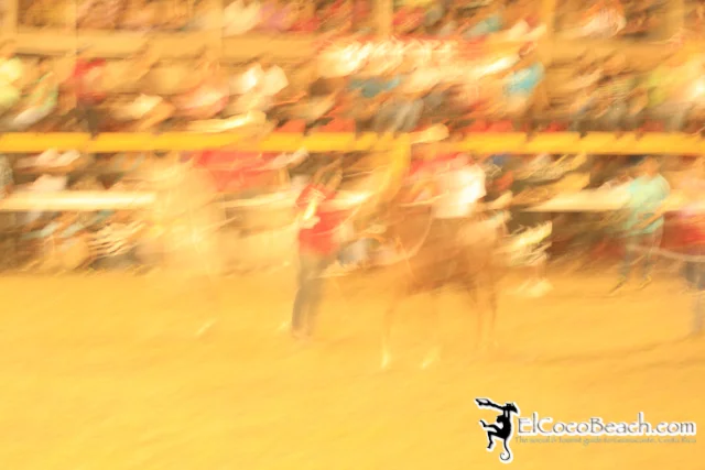 elcocobeach.pdcfestival2012.015..jpg