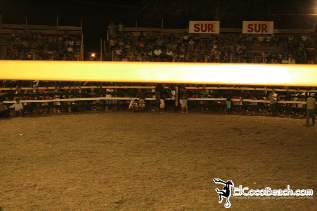elcocobeach.pdcfestival2012.044..jpg