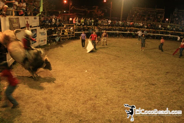 elcocobeach.pdcfestival2012.047..jpg