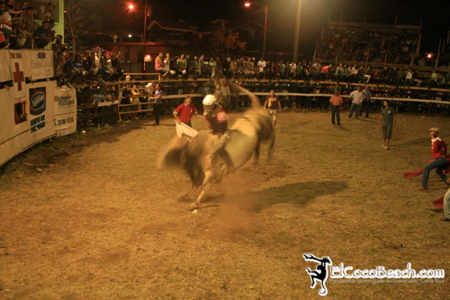 elcocobeach.pdcfestival2012.053..jpg