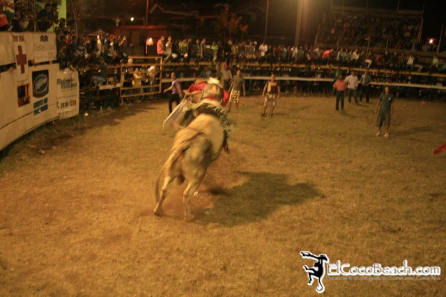 elcocobeach.pdcfestival2012.045..jpg