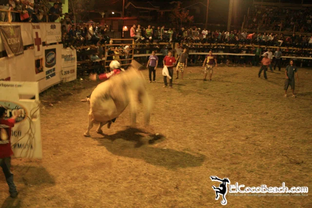 elcocobeach.pdcfestival2012.049..jpg