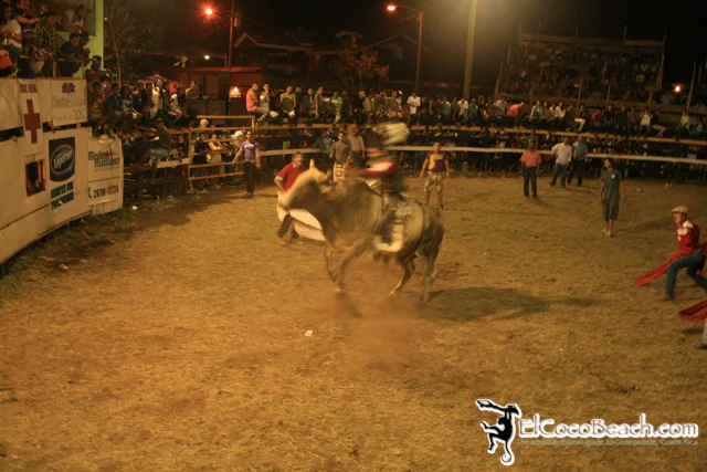 elcocobeach.pdcfestival2012.060..jpg