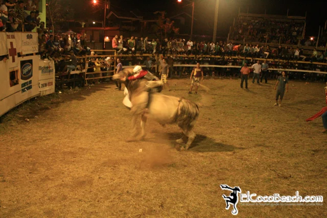 elcocobeach.pdcfestival2012.055..jpg