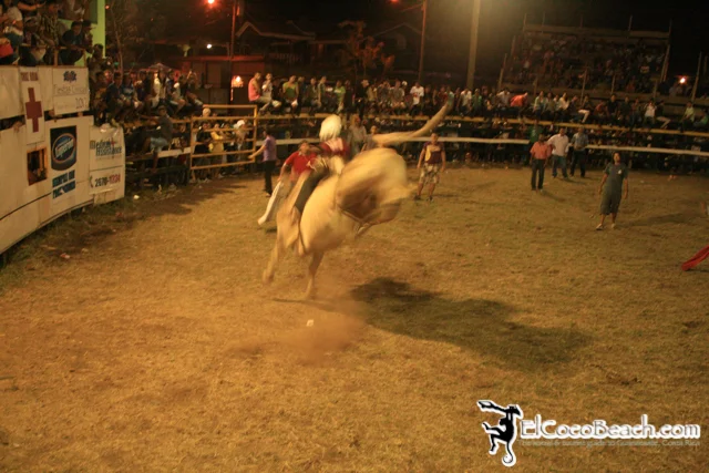 elcocobeach.pdcfestival2012.056..jpg