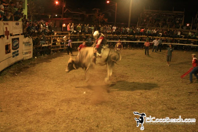 elcocobeach.pdcfestival2012.057..jpg