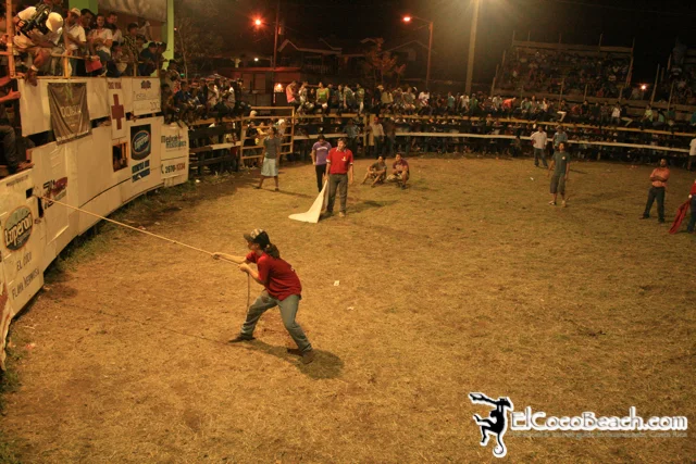 elcocobeach.pdcfestival2012.059..jpg