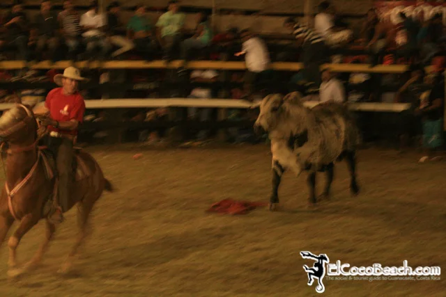 elcocobeach.pdcfestival2012.037..jpg