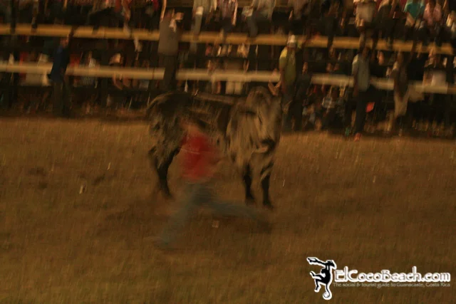 elcocobeach.pdcfestival2012.038..jpg