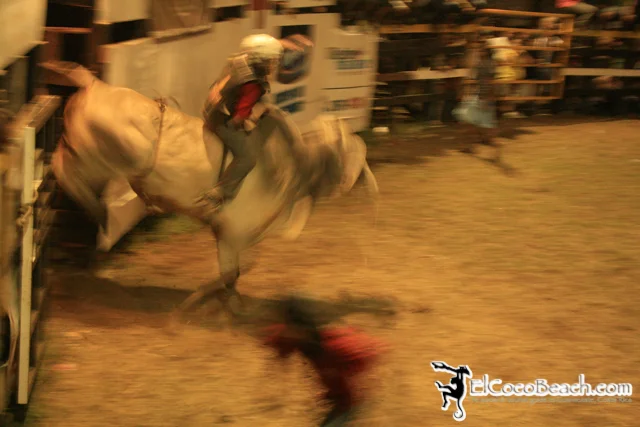 elcocobeach.pdcfestival2012.135..jpg