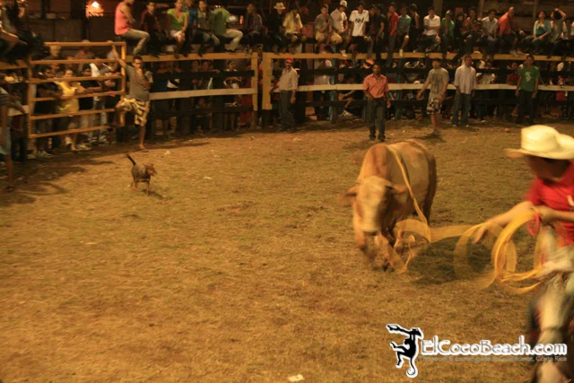 elcocobeach.pdcfestival2012.126..jpg