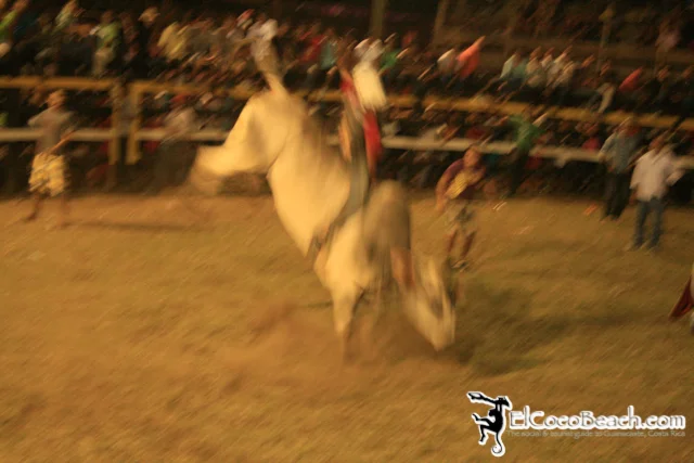 elcocobeach.pdcfestival2012.154..jpg