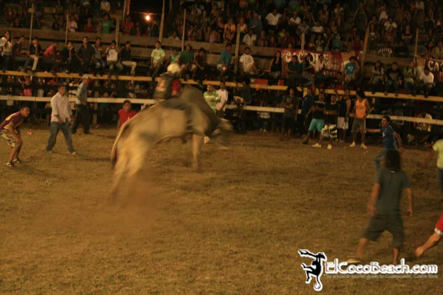 elcocobeach.pdcfestival2012.151..jpg