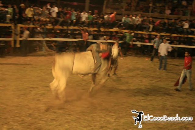 elcocobeach.pdcfestival2012.149..jpg