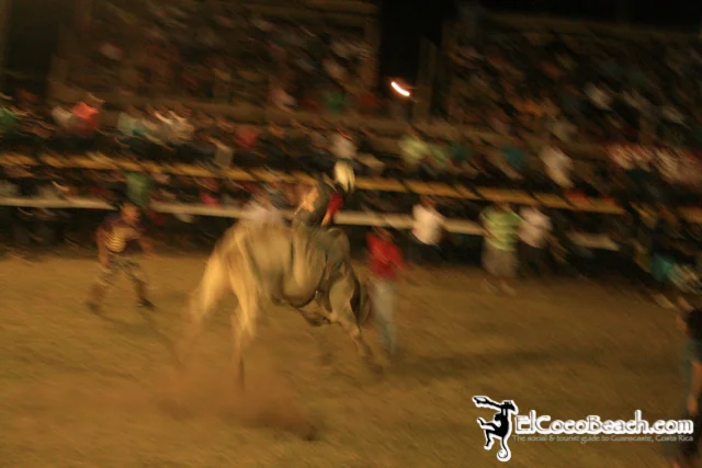 elcocobeach.pdcfestival2012.146..jpg