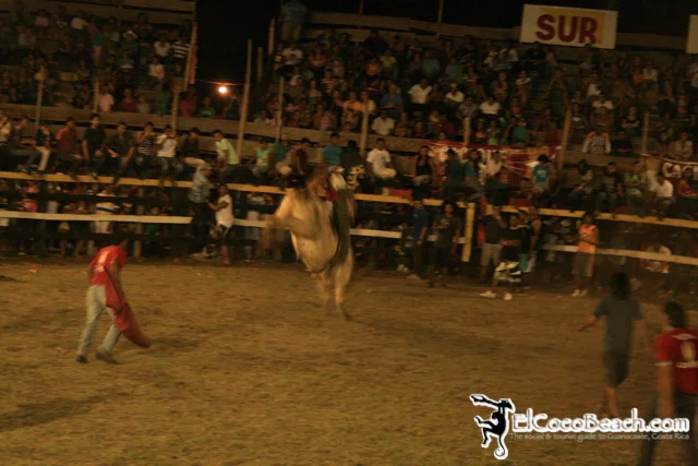 elcocobeach.pdcfestival2012.145..jpg